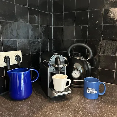 La Vie Sur - Zijdelings Zeezicht Mariakerke Lejlighed *